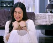 In the serial Kundali Bhagya, after the demise of Karan, the family members are urging Preeta to get married again. However, Preeta is totally heart-broken. What will happen  next? Watch the video and stay connected for more updates.