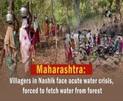 People of Nashik&#39;s Pimpalpada village are facing an acute water shortage. They are forced to walk 4-5 km daily to fetch water from the forest.&#60;br/&#62;&#60;br/&#62;The well in the village has reportedly dried up due to which villagers are forced to fetch muddy water from the forest. The villagers are seeking government’s help to provide water and road facilities. &#60;br/&#62;&#60;br/&#62;Speaking about their misery a local said, “The well in our village has dried up. There is also no road in our village. We request the government to provide us water and road facility.&#92;