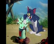 Tom and Jerry Best of Little Quacker Classic Cartoon Compilation from girl friends long hairjob with boyfriend