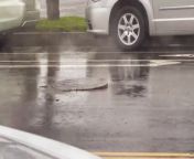 This manhole cover started to jiggle during an intense rainstorm in Harbor City, Los Angeles, USA. As cars drove by, the manhole cover looked like it was dancing to the sound of the rain.
