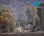 As of Thursday, February 15, 2024, Premier Jacinta Allan said roughly 24 homes, three businesses and 23 outbuildings had been destroyed at Pomonal, and another home has been lost at Dadswells Bridge. The number is expected to grow. Video via AAP.