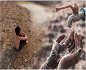 Along with depleting groundwater, crops are drying up in many districts of Telangana state due to depletion of water reserves in reservoirs. Due to this, the farmers are stuck in the grip of drought. &#60;br/&#62; &#60;br/&#62;తెలంగాణ రాష్ట్రంలో తాజా పరిస్థితులు ఆందోళన కలిగిస్తున్నాయి. ఇప్పటికే రాష్ట్రవ్యాప్తంగా కరువు పరిస్థితులు వెంటాడుతున్నాయి. &#60;br/&#62; &#60;br/&#62;#Telangana &#60;br/&#62;#Farmers &#60;br/&#62;#WaterDrying &#60;br/&#62;#WaterProblem &#60;br/&#62;#CMRevanthReddy &#60;br/&#62;#SummerEffect &#60;br/&#62;#Drought &#60;br/&#62;&#60;br/&#62;~ED.234~PR.39~HT.286~
