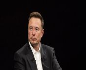 “Tesla is associated in people’s mind with Elon Musk,” she said, “and you either love him or hate him…so when people saw that it was Tesla, I think it stirred strong emotions.”