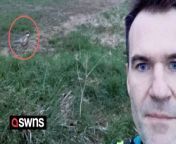Runners in a quiet village have found an unlikely jogging partner - a wild pheasant named Fez.&#60;br/&#62;&#60;br/&#62;Jasper Copping, 46, runs every weekday morning through Shotesham, Norfolk and in the last two weeks noticed he wasn&#39;t alone.&#60;br/&#62;&#60;br/&#62;Joining him has been a pheasant keeping Mr Copping&#39;s pace as he runs alongside a field on the outskirts of the village. &#60;br/&#62;&#60;br/&#62;The father of two said he wasn&#39;t the only runner to have been accompanied by the bird he&#39;s named Fez and has spoken to others who have also become fond him.