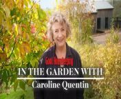 Over the fence with Caroline Quentin