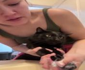 This woman was washing her cat, Bagheera&#39;s, paws as it had dirty litter on them. She scolded him for constantly dirtying his paws whenever he went out to play. As she continued washing his paws with soap, Bagheera did not like it and kept growling.