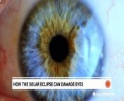 You need eclipse glasses to safely watch the solar eclipse. Even a few short moments of looking at the sun without eye protection can cause permanent damage.