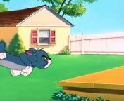 Tom And Jerry- 060 - Slicked Up Pup (1951) S1950e14