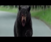 Cocaine bear trailer from gay bear loves