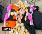 Two British siblings nicknamed the &#39;Spud Brothers&#39; have become a global sensation with fans travelling from all over the world to buy their baked potatoes.&#60;br/&#62;&#60;br/&#62;Jacob, 28, and Harley Nelson, 21, have seen customers queuing for hours to get their hands on their famous spuds in Preston, Lancs,. after they went viral on TikTok.&#60;br/&#62;&#60;br/&#62;Since they started posting, people have travelled from Australia, Turkey, Spain, Germany and Amsterdam to their &#39;tram&#39; in Preston Flag Market, Lancs.&#60;br/&#62;&#60;br/&#62;The siblings, whose username is @TheSpudBrothers, say &#39;it&#39;s hard&#39; to say how many potatoes a day they make and serve but they often have to turn customers away.&#60;br/&#62;&#60;br/&#62;Jacob said: &#92;