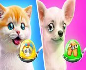 A poor dog and a rich cat fell in love But their owners hate each other and are constantly competing. Maybe the Digital Circus can help them? Wow Rich Cat found Remember from the  digital circus and gave her a makeover! How will the dog respond to her? Crazy fidgets for you and your pets!Enjoy the show#fidgets #pets #richvspoor 