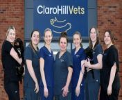 Vet Laura Keyser, who has more than 15 years experience, has launched Claro Hill Vets - a new practice in Pannal, near Harrogate, Yorkshire.&#60;br/&#62;It has three modern consultation rooms, including one for cats only, two operating theatres, separate dog kennels and a quiet cattery, a dental room with dental x-ray in-house laboratory and a state-of-the-art imaging suite, which includes digital x-ray and a CT scanner. &#60;br/&#62;Claro Hill offers an outpatient service so other practices in the area can send pets for a 3D CT scan and report, adding another string to their bow.&#60;br/&#62;With private parking outside the door, electric chargers and good accessibility, it serves Harrogate, Wetherby, Otley, Knaresborough and North Leeds areas. &#60;br/&#62;It is based in Units 7 and 8, Thirkill Park, Thirkill Drive, Pannal HG3 1GQ.&#60;br/&#62;The team consists of another experienced vet, Heather, two registered veterinary nurses Stacey and Kathryn, as well as receptionists and Veterinary Care Assistants (VCA) Debbie, Georgina and Molly.&#60;br/&#62;