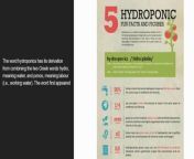 Hydroponics is a method of growing plants, usually crops, without soil. In this method, the crops/plants are grown on water, rich in essential nutrients. According to studies, plants grown hydroponically grow faster and healthier than plants in the soil since they are being provided with required nutrients directly to their roots through the water.&#60;br/&#62;&#60;br/&#62;Hydroponics is the technique of growing plants using a water-based nutrient solution rather than soil, and can include an aggregate substrate, or growing media, such as vermiculite, coconut coir, or perlite. Hydroponic production systems are used by small farmers, hobbyists, and commercial enterprises.&#60;br/&#62;&#60;br/&#62;Our consultancy is to help our farmers and our producers. This channel is to only make our farmers to be capable enough to grow more healthy and pure fruits and vegies in less space and Time. This channel is one stop solution for complete hydroponic setup.&#60;br/&#62;&#60;br/&#62;Have you ever heard of farming without soil? Yes it is possible. In Hydroponic Technology we can cultivate without soil. See detailed information about Hydroponic Farming in this video&#60;br/&#62;&#60;br/&#62;Thank you for watching our video! &#60;br/&#62;&#60;br/&#62;⚫ Jyoti Hydro Hub APP LINK - https://play.google.com/store/apps/details?id=co.diaz.qyddd&#60;br/&#62;&#60;br/&#62;⚫ Jyoti Hydroponic Website Link - https://www.jyotihydroponics.com/&#60;br/&#62;⚫ Jyoti Hydroponics Trainings Link- https://www.jyotihydroponics.com/courses?mainCategory=0&amp;subCatList=[207716] &#60;br/&#62;&#60;br/&#62;⚫ * Instagram - https://www.instagram.com/jyotihydroponicsfarm/&#60;br/&#62; * Facebook - https://www.facebook.com/JyotiHydroponics/&#60;br/&#62; * YouTube-https://www.youtube.com/c/jyotihydroponicsfarm&#60;br/&#62;&#60;br/&#62;For Emerging Farmers in Soilless farming, creating custom nutrient recipes demands a comprehensive understanding of plant nutrition and environmental factors. This includes a deep knowledge of both macro and micro-nutrients, their interactions, and optimal concentrations tailored to specific crops and growth stages. Mastery over water chemistry, specifically pH, EC, and TDS adjustments, is crucial, alongside an awareness of how environmental conditions like light, temperature, and humidity influence nutrient uptake. This process involves continuous experimentation, monitoring, and fine-tuning, which we have done for years and practiced with numerous recipes, and finally we are here to provide you with our years of experience and knowledge that we have gained for the nutrient recipes for root and shoot nutrients, ensuring the nutrient mix we provide, not only supports optimal plant growth but also maintains environmental sustainability and safety. The recipe provided here is not universal recipe, we have worked on it for years and after we got the results with this recipe, we are sharing it with everybody. But point to be always taken under the consideration is that, this recipe is definitely back bone of soilless farming, but this works only if the TDS, EC, pH, Humidity, VPD are monitored properly as per the plant requirement.