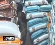 This is the dramatic moment a woman was crushed when a tower of grain bags toppled over at an Indian factory.&#60;br/&#62;&#60;br/&#62;The woman can be seen cleaning the floor in a grain market in Navi Mumbai when the stack fell.&#60;br/&#62;&#60;br/&#62;A group of men saved her by rushing to remove the bags. She was rushed to hospital with &#39;serious injuries&#39;.&#60;br/&#62;&#60;br/&#62;The incident took place on Friday (15/3).