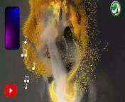 Best birds voice, Best mobile phone ringtone ,amazing, 2024, please, follow ,my channel, like share, my video, dear friend, brother ,sister ,and ,other,friends, supporting me, kindly help,please followlike share, my video my dailymotion channel mamoo pakistani