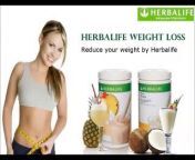 Herbal Wellness is one of the top Independent Herbalife Distributor in India. Herbalife is an International Business Opportunity in the Wellness Industry. As we all know that the wellness industry is growing @ 500% Globally and 800% in India, and if we join, there is ever chance we will also grow fast. Buy herbalife products with ease and convenience at herbal-wellness.in. Ordering Herbalife with Herbal Wellness guarantees that you will receive new, genuine Herbalife products. Herbalife offers the best, easiest &amp; healthiest way to lose weight and gain weight on the face of the earth. &#60;br/&#62;We provide Products like Personalized Protein Powder Herbalife Activated Fibre, Herbalife Cell Activator, Herbalife Cell-U-Loss, Aloe Plus, Herbalife Calcium Tablets, Herbalife Nutrition Dino Kids, Nourifusion - Normal to Dry Kit, Nourifusion Moisturizer Lotion - Normal/Dry, Skin Activator - Night Time Replenishing Cream, Herbal Aloe Bath &amp; Body Bar, Herbal Aloe Everyday Body Wash. &#60;br/&#62;For more details contact the Distributors:&#60;br/&#62;Pooja Jhunjhunwala&#60;br/&#62;Contact:91 9642433350&#60;br/&#62;Email: pooja@herbal-wellness.in&#60;br/&#62;Milind Jhunjhunwala&#60;br/&#62;Contact:91 9642533350&#60;br/&#62;Email: milind@herbal-wellness.in&#60;br/&#62;