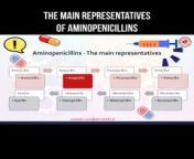 The main representatives of aminopenicillins #aminopenicillins #penicillin #antibiotics #pharma