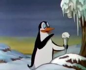 Silly Symphony Peculiar Penguins from yaara silly silly trailar3gp