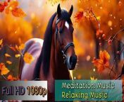 The most beautiful melody in the world! Gentle music calms the nervous system! About Autumn Relaxing Music, Stress Relief, Anxiety Relief, Depression Relief, Healing Music, Mind Healing, Body Healing,&#60;br/&#62;&#60;br/&#62;Experience the enchanting beauty of &#92;