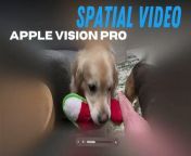 The Apple Vision Pro lets you capture 3D spatial photos and videos through the headset or your iPhone 15 Pro or Pro Max. Here’s what the playback looks like when you’re looking through the Vision Pro, though you don’t get the 3D visuals unless you’re wearing the device.