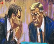 With cameras banned in New York courtrooms, sketch artists are providing America with a glimpse into the first ever criminal trial of a former US president. Veuer’s Matt Hoffman reports.