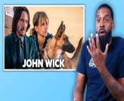 Terry Adams Jr., a former US Army working dog handler, rates eight military dogs in movies and television shows for realism. &#60;br/&#62;&#60;br/&#62;Adams breaks down various breeds of military working dogs, particularly the Belgian Malinois, in the search-and-apprehension scenes in &#92;