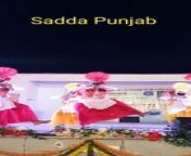 Sunil Babbar in his Punjabi roots