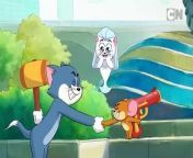 Compilation | Tom & Jerry | Cartoon Network from www xxx cn