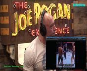 JRE MMA Show #155 with Max Holloway - The Joe Rogan Experience Video - Episode latest update