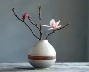 Prompt Midjourney : A ceramic vase with brown and white stripes, the bottom of which is rounded and tall, adorned with two branches holding one flower in pink color. The background features gray walls and light grey floors, creating an overall minimalist style. This photo was taken using a Canon EOS R5 camera and standard lens, providing a frontal view. It has high resolution and clear details, in the style of minimalism. --s 250