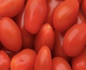 8 Tips for Growing Cherry Tomato Plants That Will Thrive All Season from cherry bumb