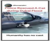 Police rescue a cat during Dubai flood 2024. I am so happy to see the little cat.