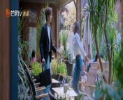 Reblooming Blue (2024) ep 2 chinese drama eng sub