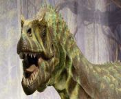 A new study has rejected a theory that T. Rex was as clever as baboons and instead only had the brainpower of today&#39;s crocodiles instead.