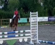 Turns out that it&#39;s not only humans who believe they can fly; horses can get pretty delusional too. &#60;br/&#62;&#60;br/&#62;Shared by Georgie, this humorous footage features a horse who fumbles a jump, knocking the rider off of his back. &#60;br/&#62;&#60;br/&#62;&#92;