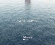 Sea Bass from kamasutra 3d movie video 3xxx