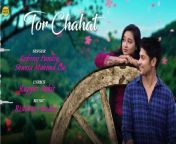 तोर चाहत _ Tor Chahat _ Cg Song _ Audio Song _ Rishiraj _ Shweta _ Abhishek _ Deepali _Romantic Song from cg vs