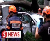 One person died and another injured after a massive tree fell on Jalan Sultan Ismail in Kuala Lumpur, hitting 17 vehicles on Tuesday (May 7) afternoon.&#60;br/&#62;&#60;br/&#62;Read more at https://shorturl.at/iqQRY&#60;br/&#62;&#60;br/&#62;WATCH MORE: https://thestartv.com/c/news&#60;br/&#62;SUBSCRIBE: https://cutt.ly/TheStar&#60;br/&#62;LIKE: https://fb.com/TheStarOnline
