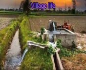 Beautiful image story of village lifeimage collection 27,&#60;br/&#62;&#60;br/&#62;#villagelife #viral #trending #following #trevel village #imagecollection27&#60;br/&#62;&#60;br/&#62;village life,&#60;br/&#62; viral, &#60;br/&#62;trending,&#60;br/&#62; following,&#60;br/&#62; travel,&#60;br/&#62; village, &#60;br/&#62;image collection 27,&#60;br/&#62;mearzari13,&#60;br/&#62;#meharzari13&#60;br/&#62;&#60;br/&#62;Village life is often romanticized in literature and media, painted as a simpler and more idyllic way of living. While this may be true to some extent, the reality of village life is much more complex and nuanced.&#60;br/&#62;&#60;br/&#62;One of the defining characteristics of village life is its close-knit community. In a village, everyone knows everyone else, and there is a strong sense of camaraderie and mutual support. Neighbors look out for each other, and there is a sense of belonging and connection that is often lacking in urban areas.&#60;br/&#62;&#60;br/&#62;Another aspect of village life is its slower pace. Unlike the hustle and bustle of the city, life in a village tends to be more relaxed and laid-back. People have more time to stop and chat with their neighbors, tend to their gardens, and enjoy the simple pleasures of life. This slower pace can be both a blessing and a curse, as it can lead to a lack of opportunities and limited access to resources.&#60;br/&#62;&#60;br/&#62;Village life also often revolves around agriculture. Many villages are located in rural areas, where farming is the primary occupation. This close connection to the land can be both rewarding and challenging, as villagers rely on the whims of nature for their livelihood. However, it also fosters a deep appreciation for the natural world and a sense of stewardship for the environment.&#60;br/&#62;&#60;br/&#62;Despite its many charms, village life also has its drawbacks. Villages often lack access to basic services such as healthcare, education, and infrastructure. This can lead to a sense of isolation and limited opportunities for growth and development. Young people may leave the village in search of better opportunities, leading to a shrinking population and a loss of traditional knowledge and skills.&#60;br/&#62;&#60;br/&#62;In conclusion, village life is a rich tapestry of traditions, community, and connection to the land. While it may not be perfect, it offers a unique way of living that is worth preserving and celebrating. By supporting and investing in rural communities, we can ensure that village life continues to thrive for generations to come.&#60;br/&#62;&#60;br/&#62;#imagecollection27&#60;br/&#62;@imagecollection27&#60;br/&#62;image collection 27,&#60;br/&#62;