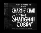 When three employees of a bank are found murdered with cobra venom, Charlie Chan connects the homicides to a case he had worked in Shanghai in 1937.&#60;br/&#62;