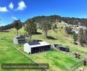 Tenterfield, NSW, property Mackenzie Point is a 361 hectare lifestyle property that is also well suited to livestock.