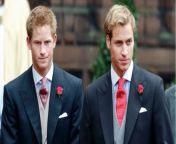 Prince Harry and Prince William both invited to Hugh Grosvenor’s wedding from harry potter parody