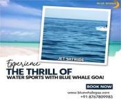 Experience Goa&#39;s stunning beaches at full throttle. Book your jet ski adventure with Blue Whale Goa!&#60;br/&#62;&#60;br/&#62;