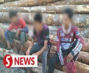 Three teenagers reported lost for more than 15 hours in the jungle at Kampung Pulau Kerengga in Terengganu while hunting jungle fowl were found safe on Sunday (March 31).&#60;br/&#62;&#60;br/&#62;Marang Fire and Rescue Station Operations Commander Zuraidi Yusuf said the teenagers, aged 15 and 16, were found by villagers at 8.13am about 4km from the road.&#60;br/&#62;&#60;br/&#62;Read more at https://tinyurl.com/yfjeufcw&#60;br/&#62;&#60;br/&#62;WATCH MORE: https://thestartv.com/c/news&#60;br/&#62;SUBSCRIBE: https://cutt.ly/TheStar&#60;br/&#62;LIKE: https://fb.com/TheStarOnline&#60;br/&#62;