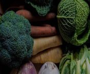 Here Are Some of &#60;br/&#62;the Best Veggies , To Incorporate Into &#60;br/&#62;Your Diet This Winter.&#60;br/&#62;Green vegetables are a vital part &#60;br/&#62;of a healthy and balanced diet.&#60;br/&#62;They are low in calories &#60;br/&#62;and high in nutrition.&#60;br/&#62;Adding more green vegetables to &#60;br/&#62;your diet this winter could &#60;br/&#62;boost your immune system and help to avoid seasonal illnesses like the flu.&#60;br/&#62;Here are some tasty vegetable &#60;br/&#62;choices to be the healthiest &#60;br/&#62;version of yourself this winter:.&#60;br/&#62;Spinach.&#60;br/&#62;Dark and leafy, spinach is a &#60;br/&#62;viable source of antioxidants.&#60;br/&#62;Incorporating more spinach into your diet could help prevent cancer and maintain healthy blood pressure.&#60;br/&#62;Incorporating more spinach into your diet could help prevent cancer and maintain healthy blood pressure.&#60;br/&#62;Peas.&#60;br/&#62;Love them or hate them, peas can &#60;br/&#62;do a world of good for your body.&#60;br/&#62;High in protein, vitamin K and thiamine, peas are known to cut down belly fat and promote a healthy gut.&#60;br/&#62;Kale.&#60;br/&#62;Kale may be the healthiest green vegetable that can withstand the cold of winter.&#60;br/&#62;Eating enough of it can have anti-inflammatory effects and reduce your chances of getting lung cancer.&#60;br/&#62;Broccoli.&#60;br/&#62;A member of the cruciferous family, broccoli is a versatile and incredibly healthy vegetable.&#60;br/&#62;Add broccoli to your soups and stir-fry dishes to maintain healthy cholesterol levels and bone density.&#60;br/&#62;Keep it green!