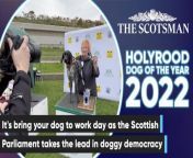 Holyrood Dog of the Year: Parliamentary pupper playtime carries an important message