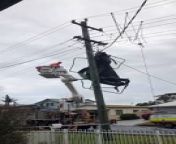 Video by Henry Wedeman. An energy crew retrieves a trampoline blown into power lines in Connaghan Avenue, East Corrimal on July 3, 2022.