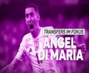 Angel Di Maria hat seinen Vertrag bei PSG nicht verlängert und steht kurz vor einem Wechsel zu Juventus Turin. Wir haben die interessantesten Fakten und Daten zum argentinischen Flügelspieler.