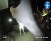 Axe-wielding Mohammed Khan is tasered by police from xxxsexyvideohindigirls fuckfarah khan