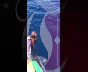 Oman fisherman catches sharks with his bare hands